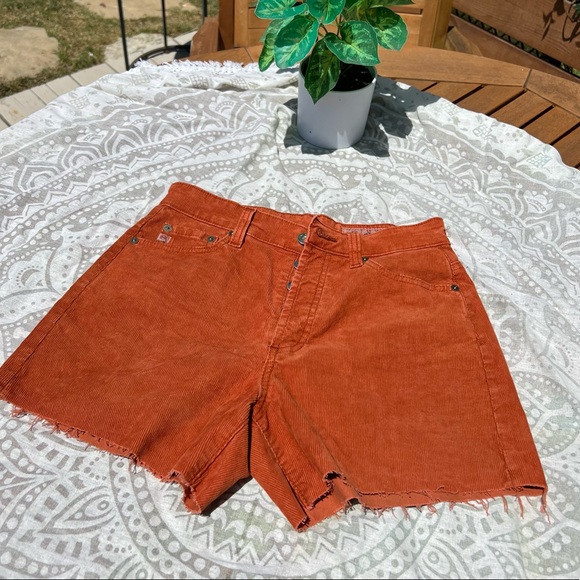 Corduroy AG-ED denim shorts - Picture 3 of 8